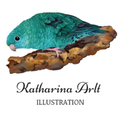 Katharina Arlt Illustration