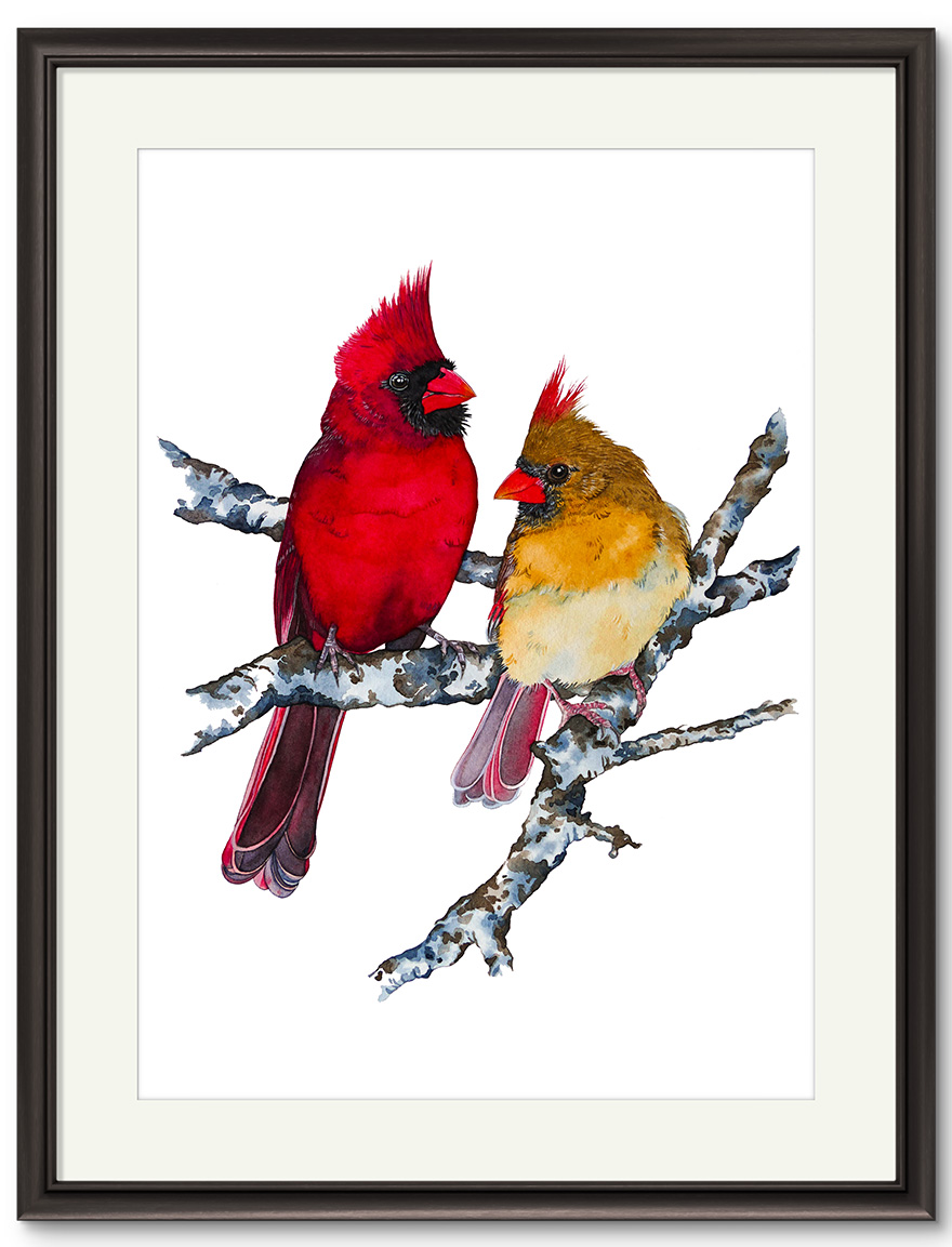 Kunstdruck Rotkardinalpaar – Bild 2